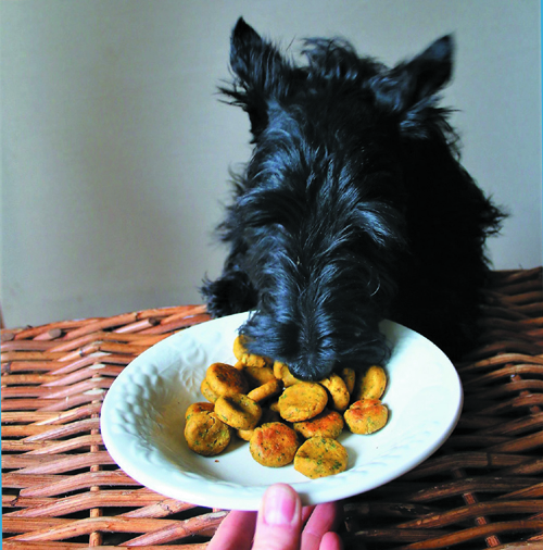 Tret Your Pup to Healthy Homemade Biscuits