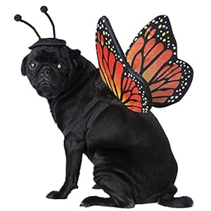 Monach Butterfly Dog Costume