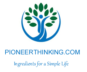 20 Facts about Pioneerthinking.com