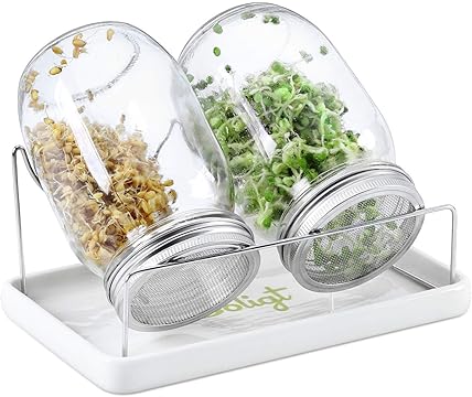Mason Jar Sprouting Kit
