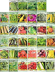 Set of 34 Pack Vegetable & Herbs