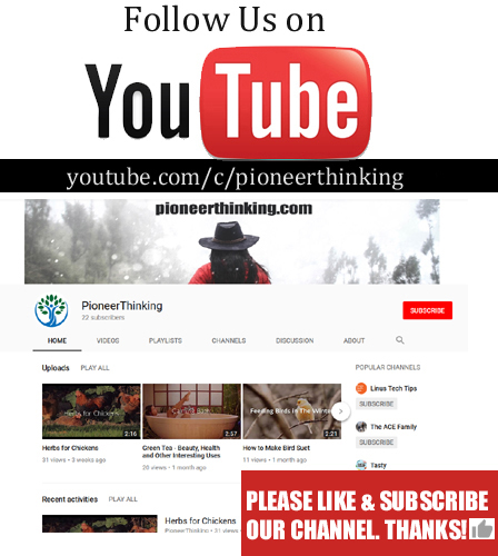 Pioneerthinking.com Youtube Channel
