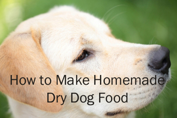 Homemade Dry Dog Food