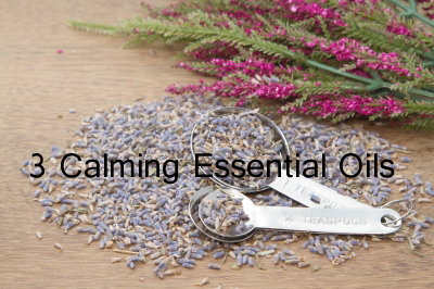 3 Calming Essential Oils You Can Use in an Aroma Vaporizer