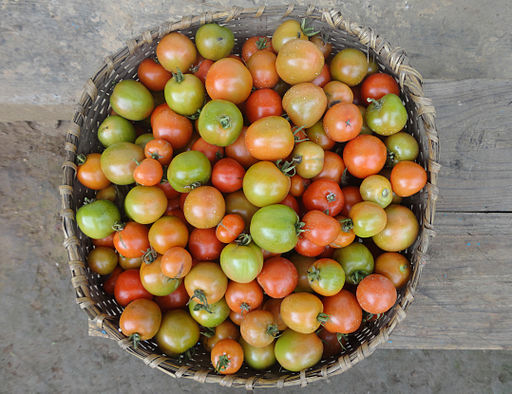 How to Make Money with Home Grown Tomatoes