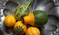 How to Make Dried Gourds