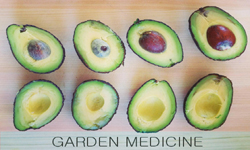Garden Medicine