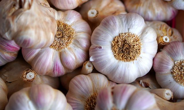 Plant Garlic for a Summer Crop