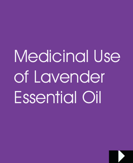 Medical Uses of Lavender Essential Oil
