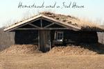 Homestead and a Sod House