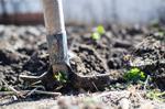 How to Choose The Right Shovel for Your Gardening Project