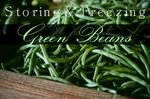 Storing and Freezing Green Beans