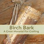 Birch Bark - A Great Material for Crafting