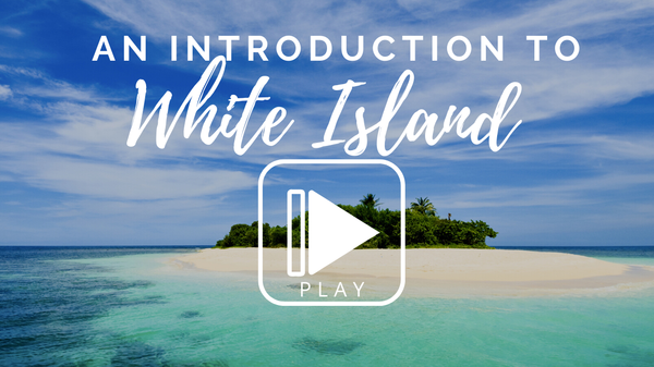Visit White Island