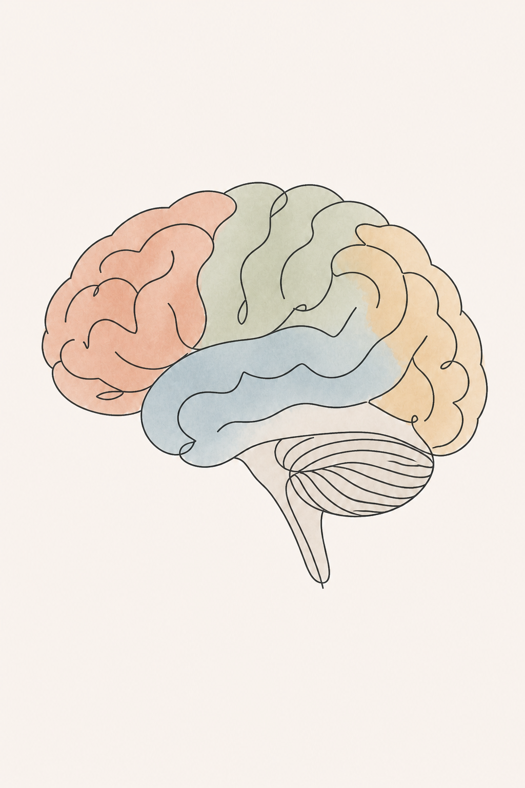 Line-art illustration of a human brain with soft muted colour