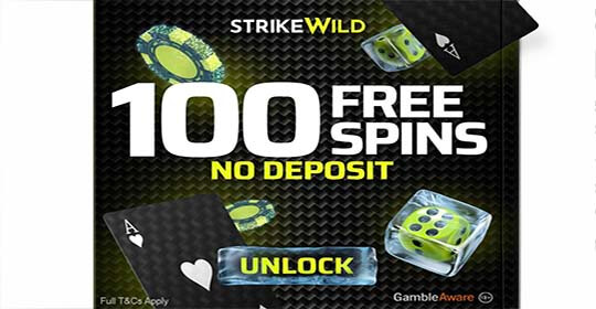 100 Free Spins NO Deposit