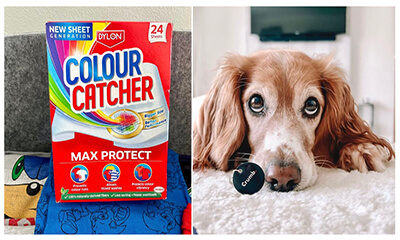 Free Colour Catcher Sheets and Free Pet Tag (Worth £19.99)