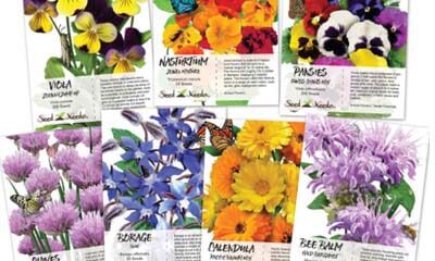 Free Vegetable Seeds Pack