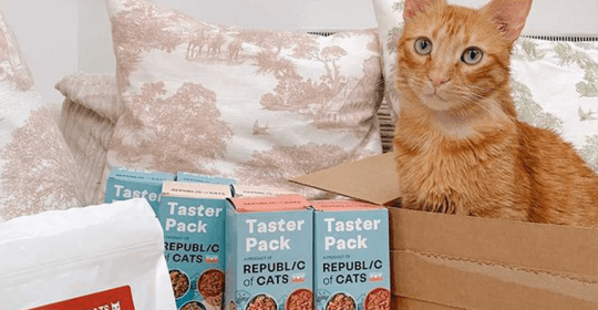 Massive Trial Cat Food Box