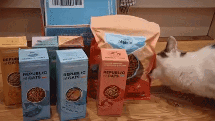 Massive Cat Food Box