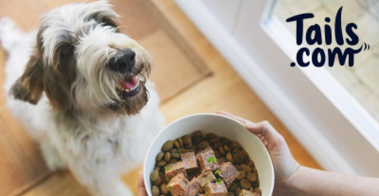 Free Huge Bag of Dog Food - Includes 62 Meals