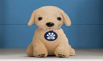 Free Andrex Puppy Toy