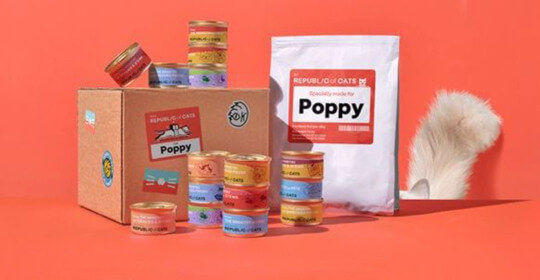 Trial Massive Cat Food Box