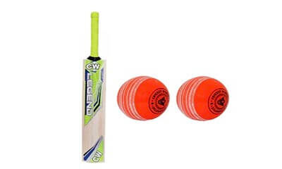 Free Cricket Bat & Ball Set
