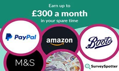 Earn up to £20 per survey in your spare time!