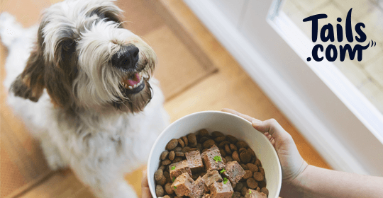 Free Huge Bag of Dog Food - Includes 62 Meals