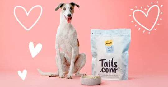 Free Huge Bag of Dog Food - Includes 62 Meals