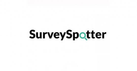 Earn up to £300 per Month in Your Spare Time by Taking Surveys
