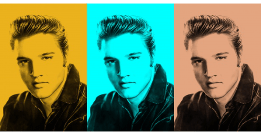 Free Elvis Presley Silver Coin