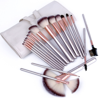Free Professional Makeup Brush Set