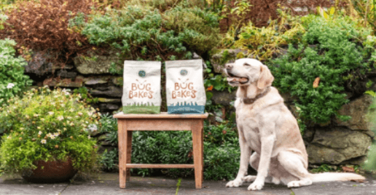 Free 2.5kg Bag of Dog Food