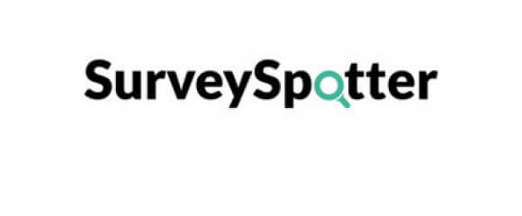 Earn up to £300 per Month in Your Spare Time by Taking Surveys