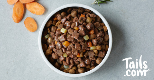 Free Month Supply of Dog Food Worth Up to £54