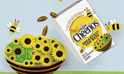 Free Nestle Sunflower Seeds