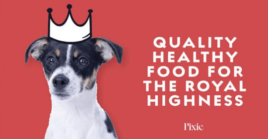 Free Dog Food from Pixie