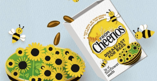 Free Sunflower Seeds