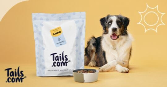 Free Huge Bag of Dog Food - Includes 62 Meals