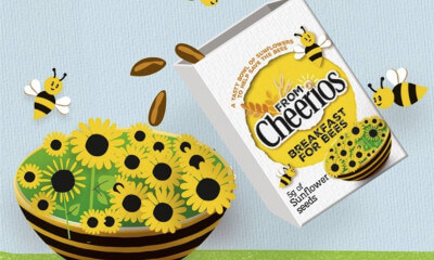 Free Sunflower Seeds