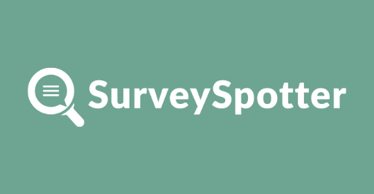 Earn up to £300 per Month in Your Spare Time by Taking Surveys