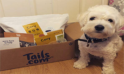 Free Month Supply of Dog Food Worth Up to £54