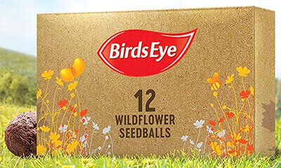 Free Birds Eye Flower Seeds