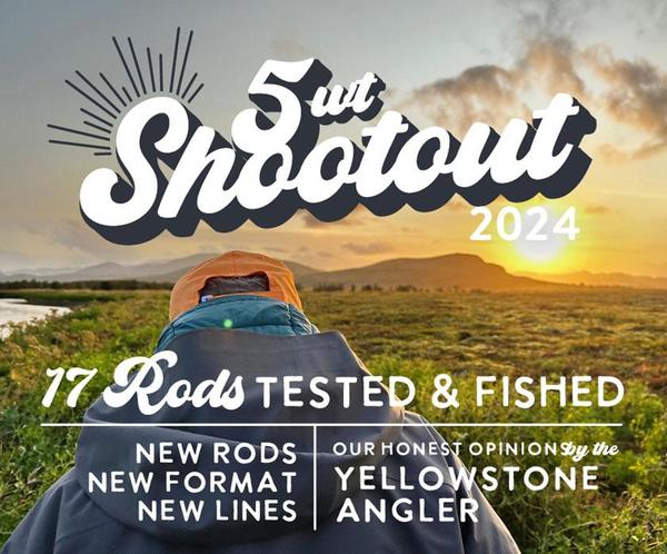 Five weight shootout