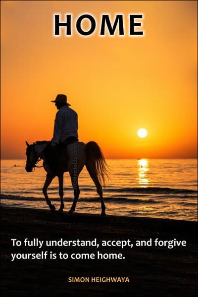person on a horse
