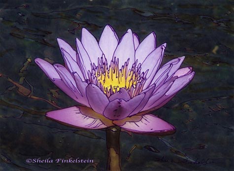 Purple Water Lily enhanced by photo/drawing bring out the textures.