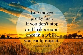 Slow-Down-Or-Miss-It