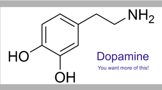 Dopamine-chemical-structure